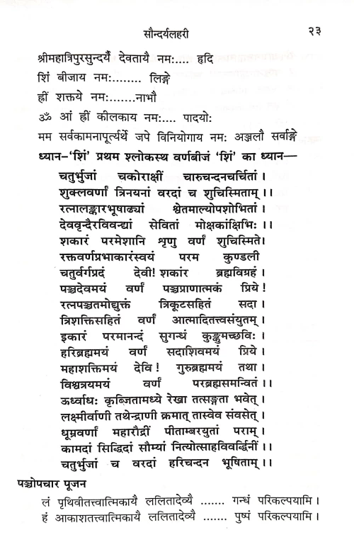 Saundaryalahari (CSBG 218)